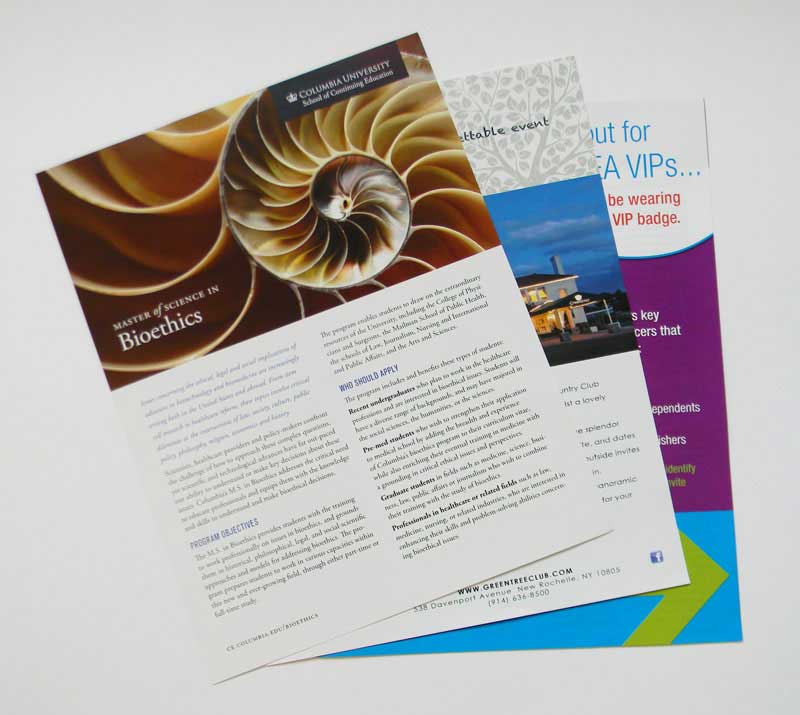 sell sheets printed by Rapid Press